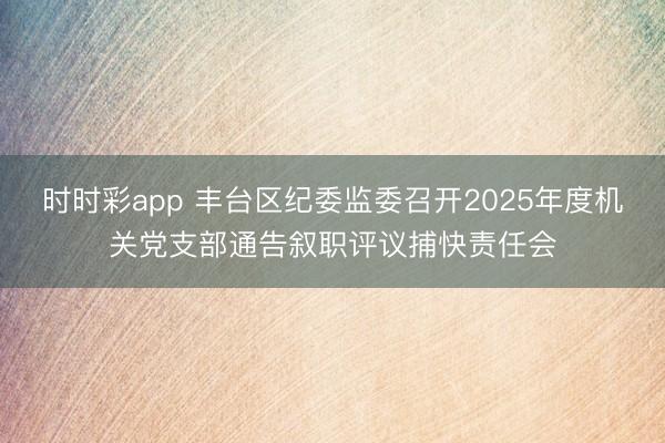 時時彩app 豐臺區紀委監委召開2025年度機關黨支部通告敘職評議捕快責任會