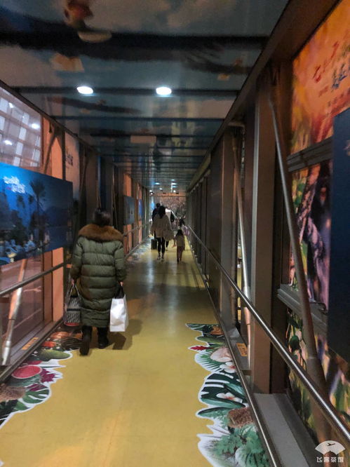 無愧五星航司稱號 非黃金航線的精品服務(wù)與專業(yè)倉儲