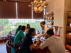 燕語茶館品鑒中心試業 以茶會友，共赴一場東方美學的時光之約