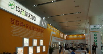 匠心筑展，茶韻飄香 福州展覽搭建工廠的一站式專業(yè)服務(wù)